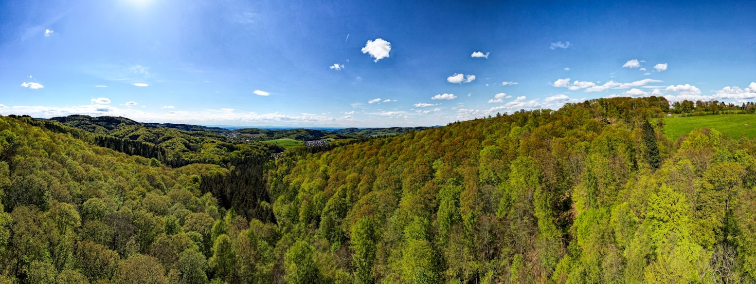 Normativas clave para los propietarios forestales