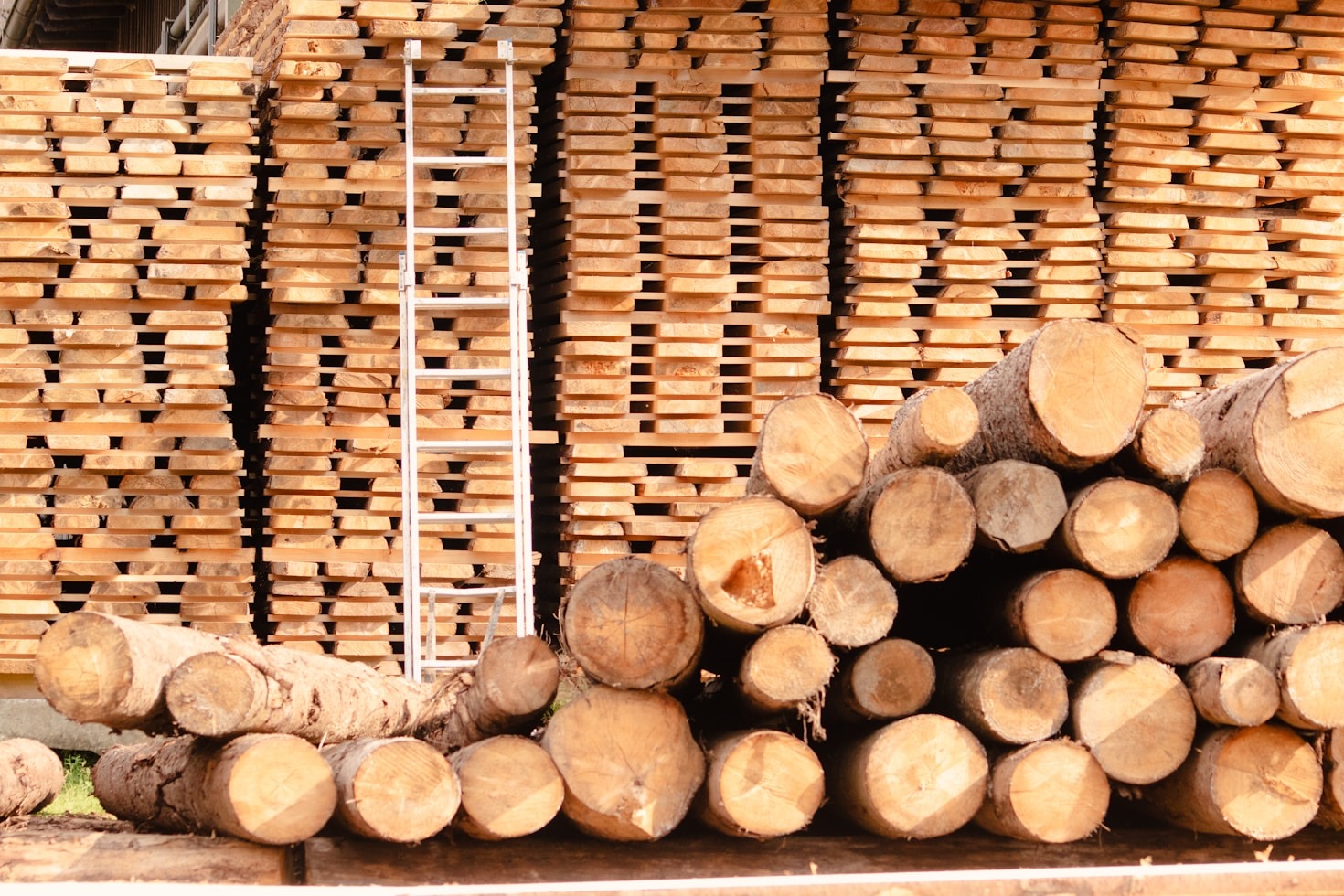 La cooperación como motor de la producción forestal